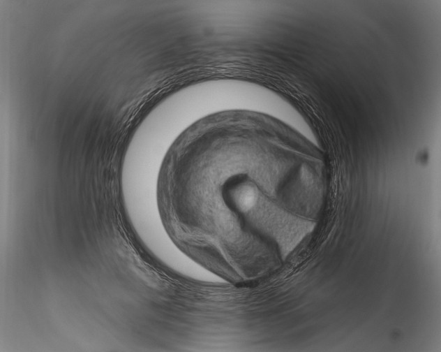 X0000115520601200911271325