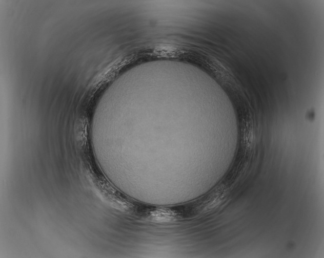 X0000115520603200911271325