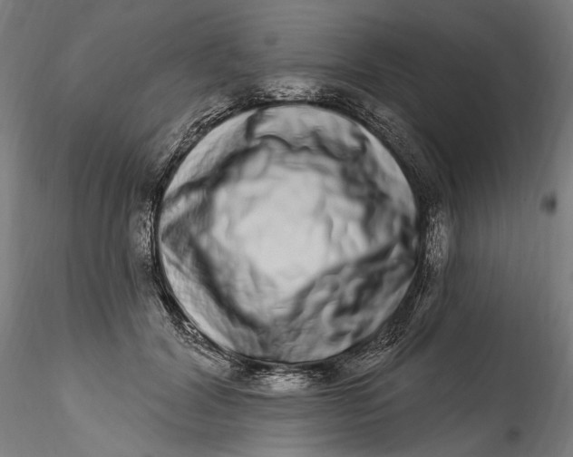 X0000115520604200911271325