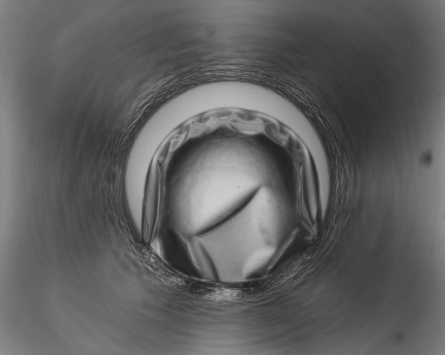 X0000115520609200911271324