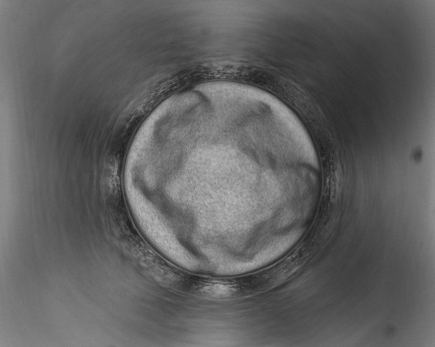 X0000115520610200911271324