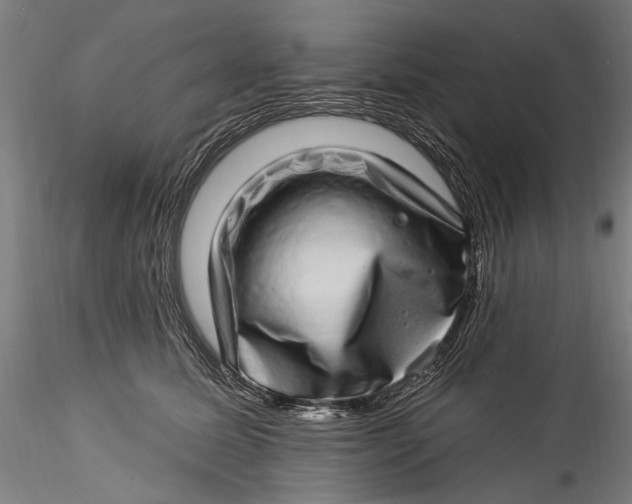 X0000115520611200911271324