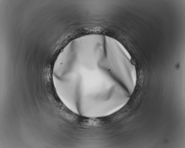 X0000115520612200911271324