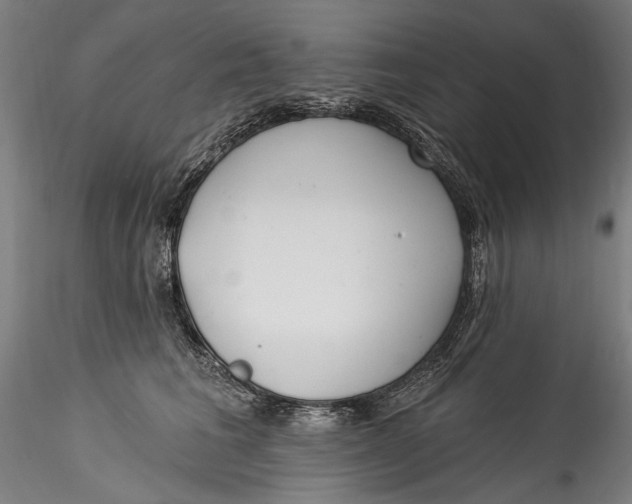 X0000115520613200911271324