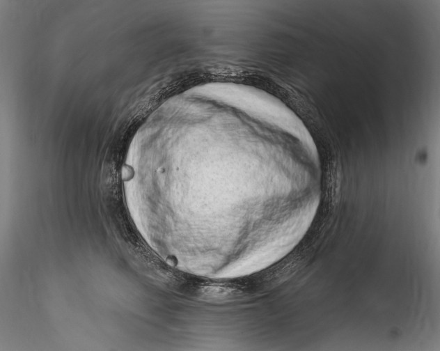 X0000115520614200911271324