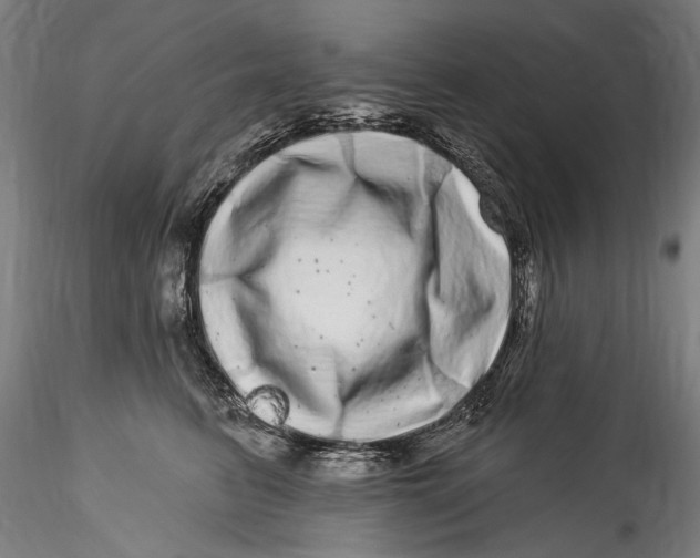 X0000115520615200911271324