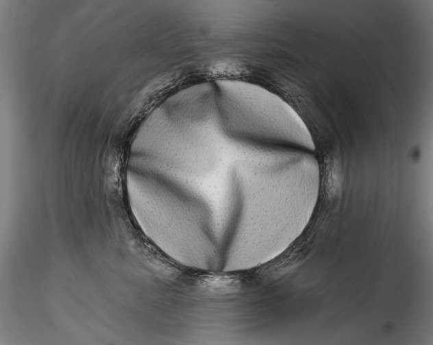 X0000115520619200911271324