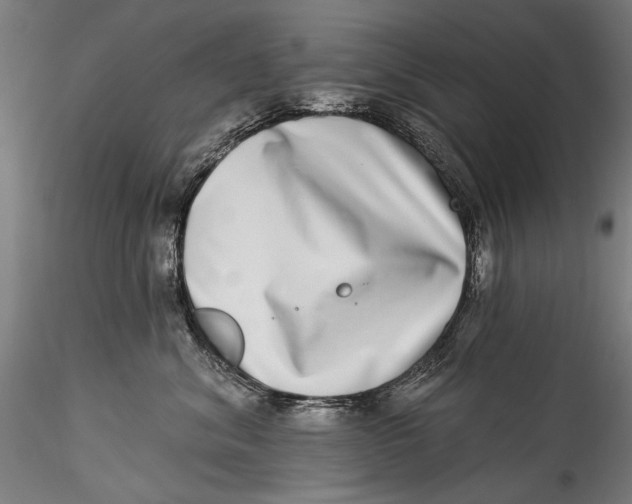 X0000115520620200911271324