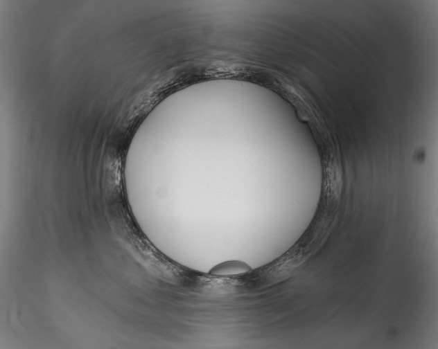 X0000115520621200911271324