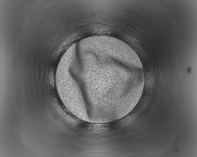 X0000115520622200911271324