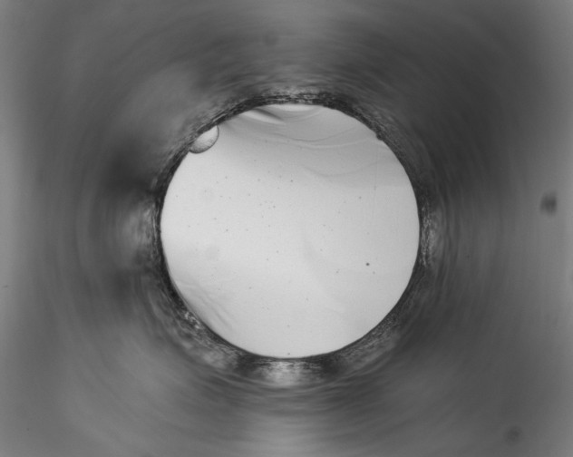 X0000115520623200911271324