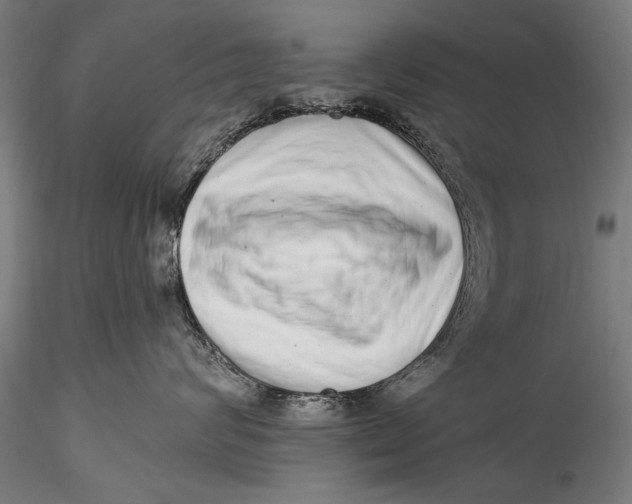 X0000115520624200911271324