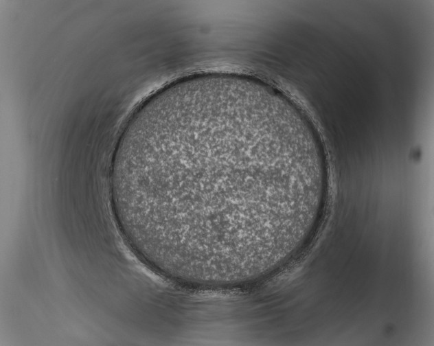 X0000115520625200911271323