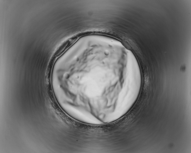 X0000115520628200911271323