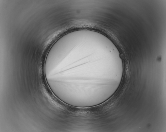 X0000115520629200911271323