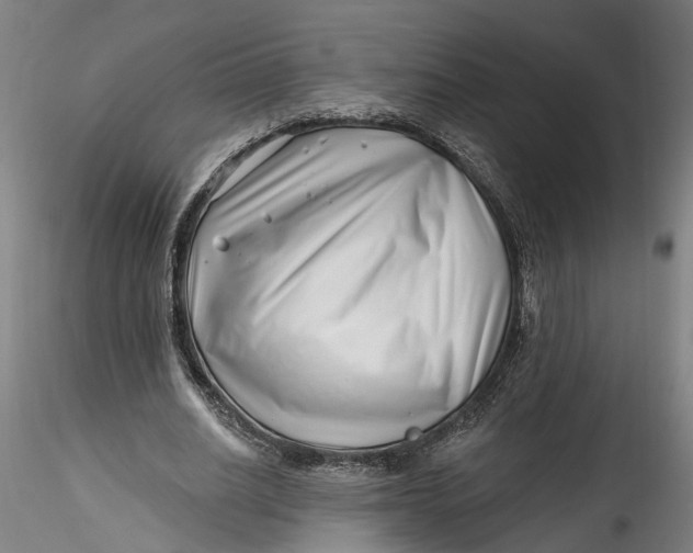 X0000115520630200911271323