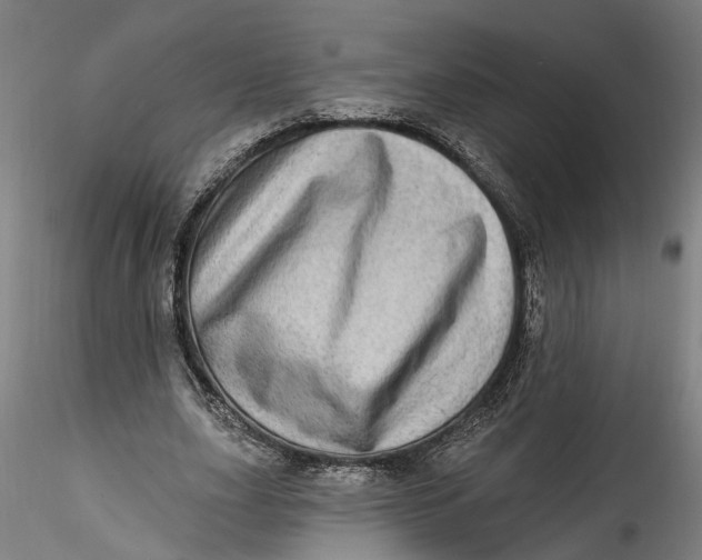 X0000115520631200911271323