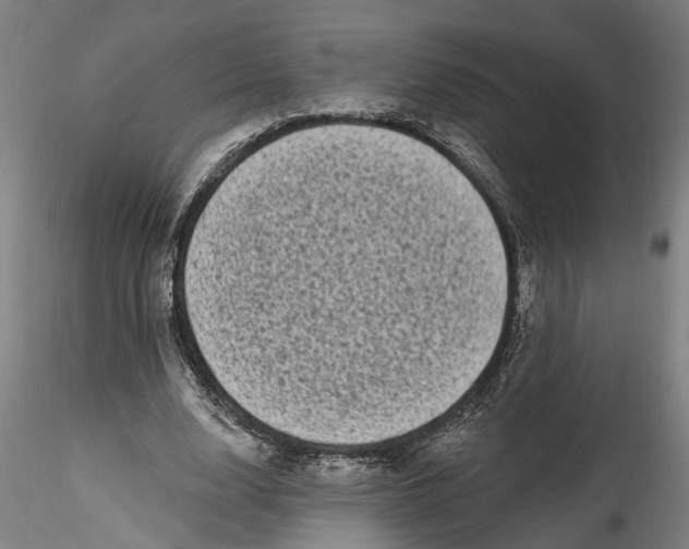 X0000115520632200911271323