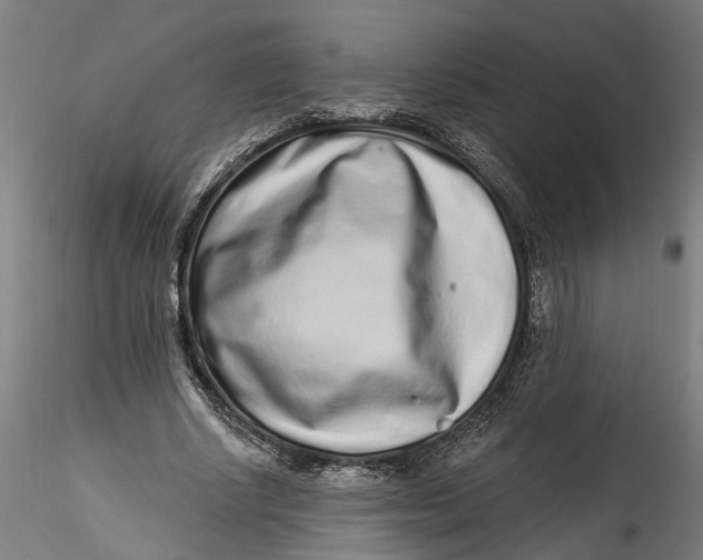 X0000115520634200911271324