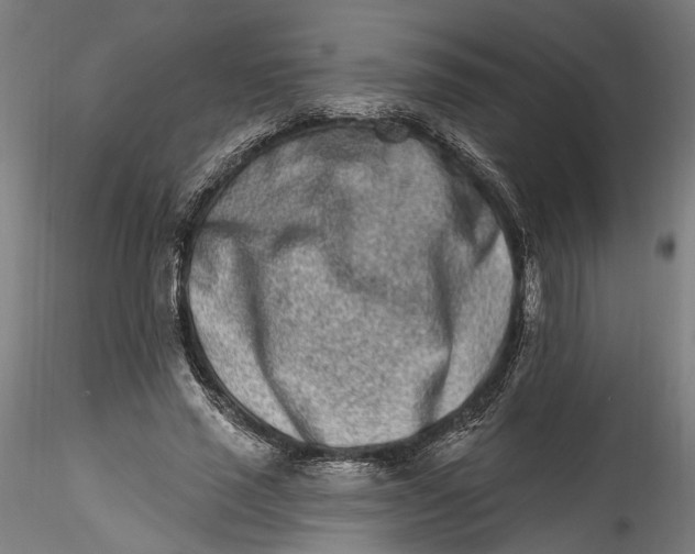 X0000115520637200911271324