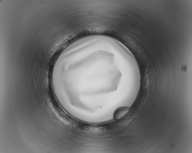 X0000115520638200911271324