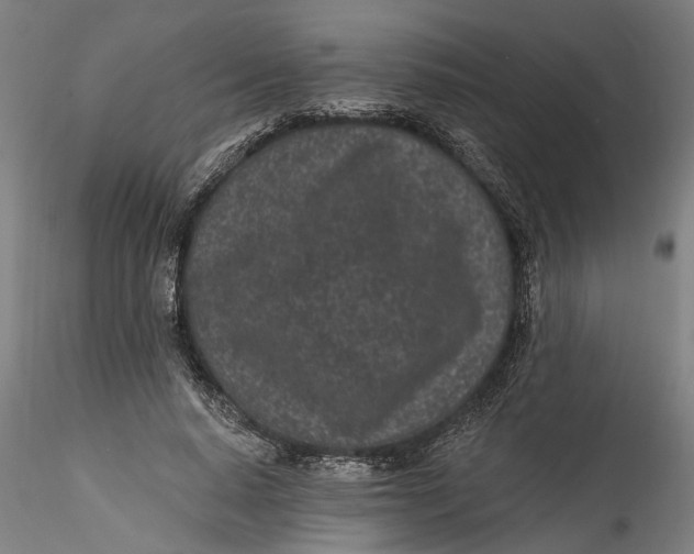 X0000115520640200911271324