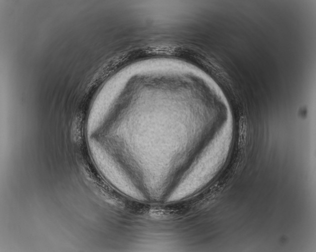 X0000115520641200911271324