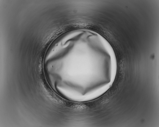 X0000115520642200911271324