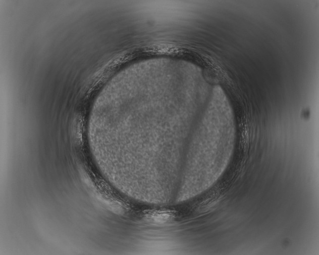 X0000115520643200911271324