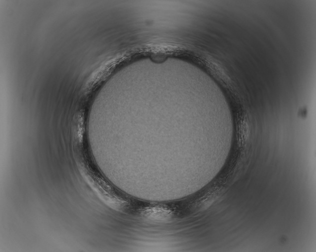 X0000115520644200911271324