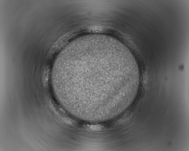 X0000115520645200911271324