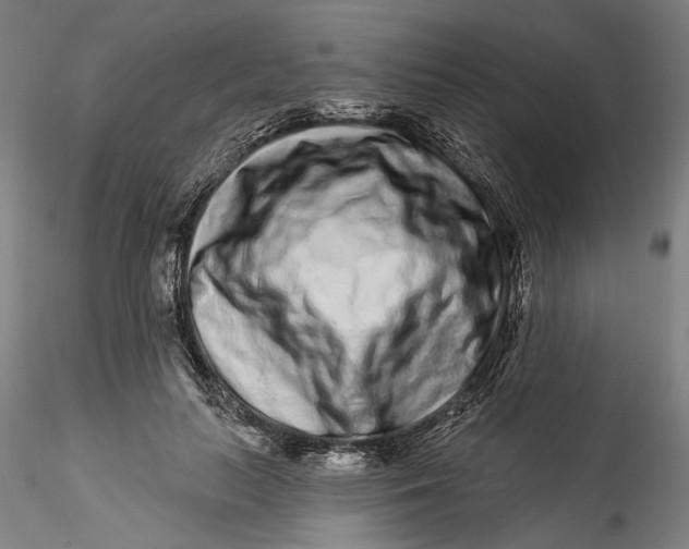 X0000115520647200911271324