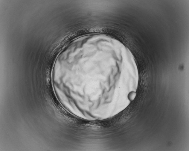 X0000115520648200911271324