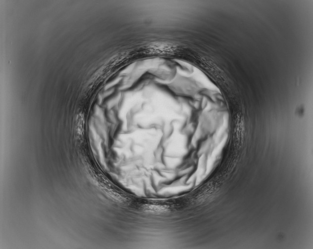 X0000115520649200911271324