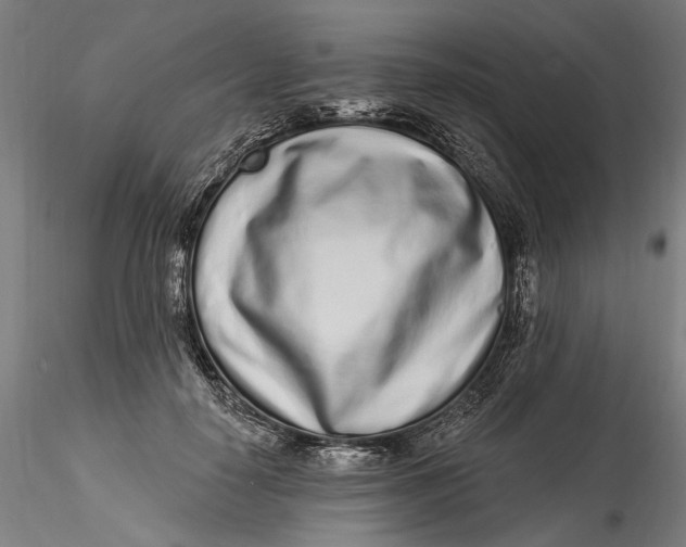 X0000115520650200911271324