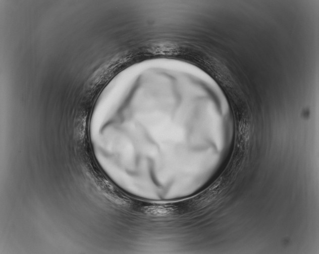 X0000115520652200911271324