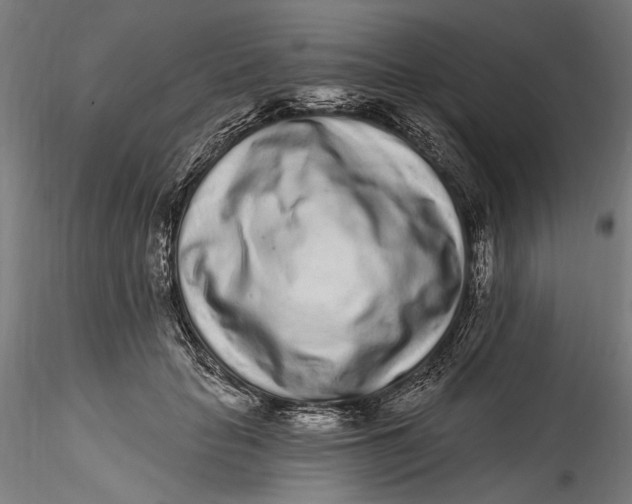 X0000115520653200911271324