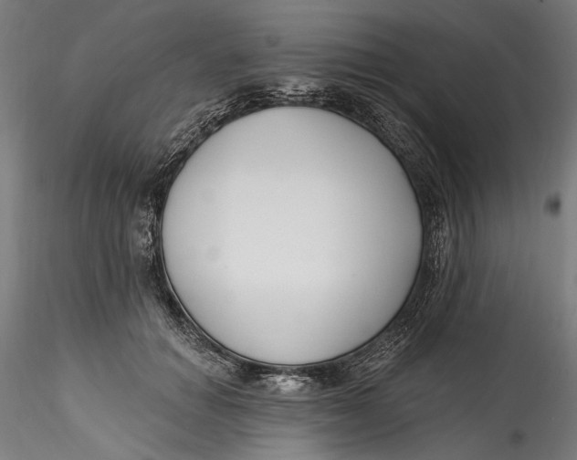 X0000115520654200911271324