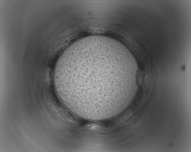 X0000115520655200911271324