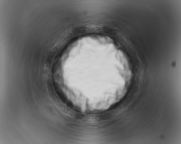 X0000115520659200911271324