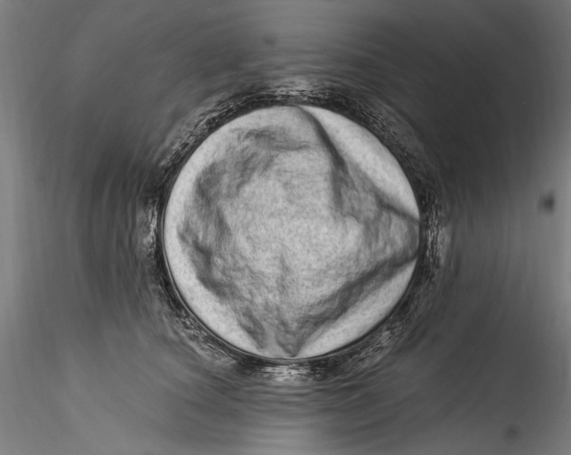 X0000115520660200911271324