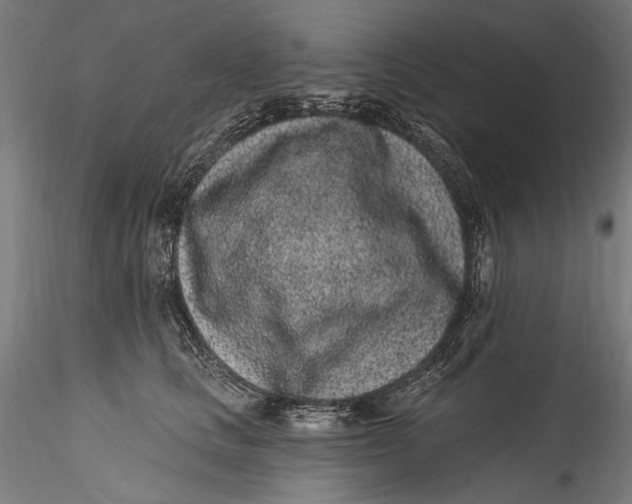 X0000115520661200911271324