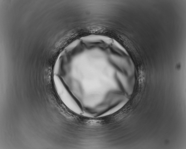 X0000115520664200911271324