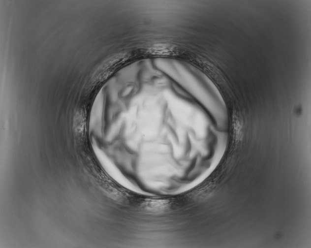 X0000115520665200911271324