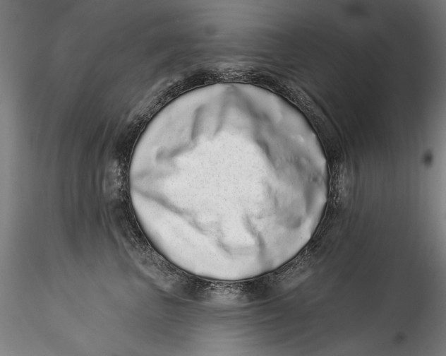 X0000115520667200911271324