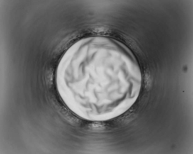 X0000115520668200911271324