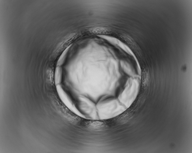 X0000115520669200911271324