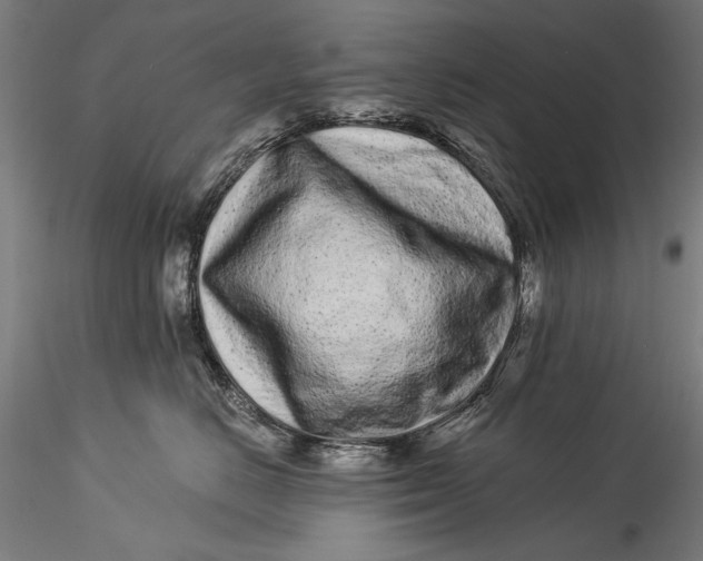 X0000115520670200911271324