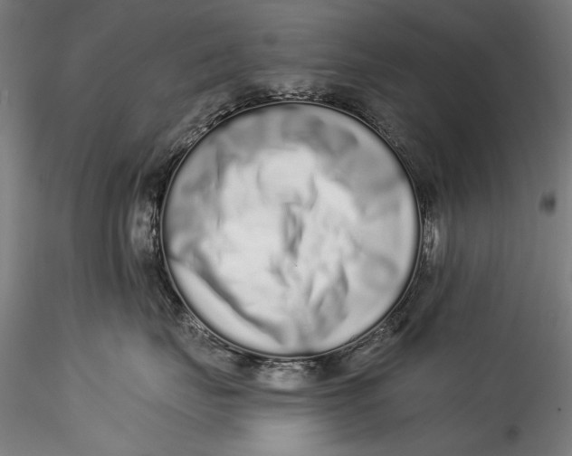 X0000115520671200911271324