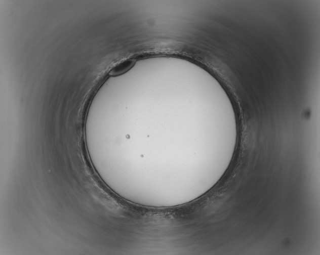 X0000115520673200911271323